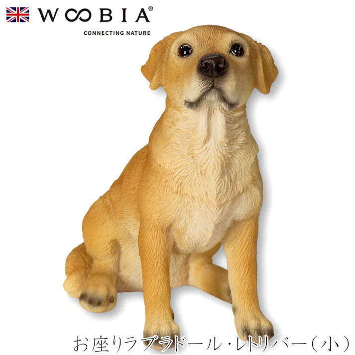 【Woobia(ウービア)】【お座りラブラドール・レトリバー(小)】 (幅9.8cm×奥行5.5cm×高さ9.5cm)犬 いぬ イヌ ドッグ dog かわいい 置物 リアル 動物 インテリア ガーデニング イギリス 人形 オーナメント ペット #4582756135787
