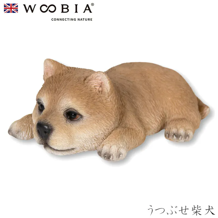 【Woobia(ウービア)】【うつぶせ柴犬】 (幅8.8cm×奥行5.3cm×高さ3.5cm)犬 いぬ イヌ ドッグ dog かわいい 置物 リアル 動物 おしゃれ インテリア ガーデニング イギリス 人形 オーナメント ペット #4582756139068