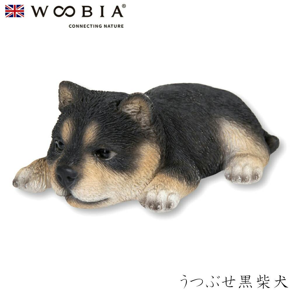 (幅8.8cm×奥行5.3cm×高さ3.5cm)犬 いぬ イヌ ドッグ dog かわいい 置物 リアル 動物 おしゃれ インテリア ガーデニング イギリス 人 ガーデン置物人形 (幅8.8cm×奥行5.3cm×高さ3.5cm)犬 いぬ イヌ ドッグ dog かわいい 置物 リアル 動物 おしゃれ インテリア ガーデニング イギリス 人 ガーデン置物人形