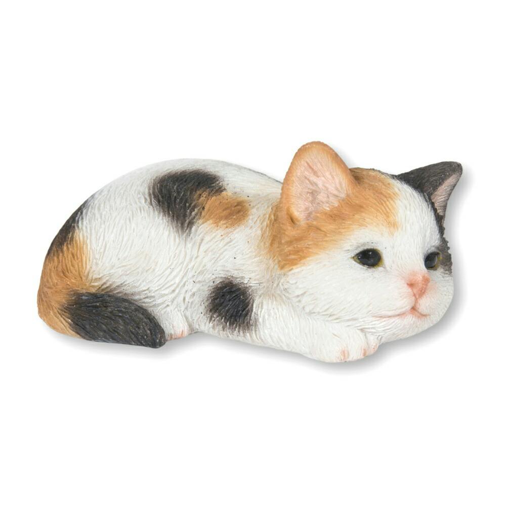 うりねこ Amazon | oUUoNNo 猫 猫用 ハーネス 胴輪 猫具 ねこ ネコ 子猫