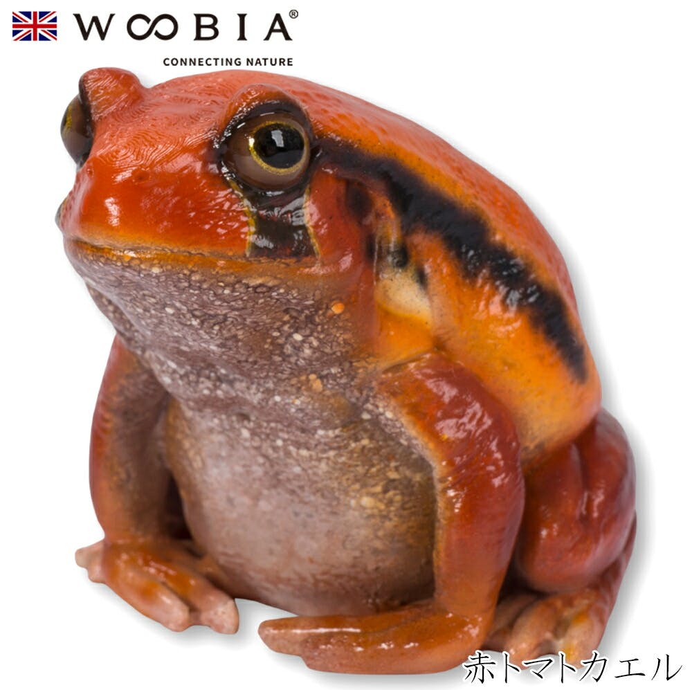 (幅6.2cm×奥行5.7cm×高さ5.3cm)かわいい 置物 リアル 動物 おしゃれ インテリア ガーデニング イギリス 人形 オーナメント ペット #45 ガーデン置物人形 (幅6.2cm×奥行5.7cm×高さ5.3cm)かわいい 置物 リアル 動物 おしゃれ インテリア ガーデニング イギリス 人形 オーナメント ペット #45 ガーデン置物人形