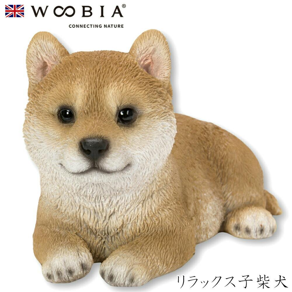 (幅11.5cm×奥行6.5cm×高さ7cm)犬 いぬ イヌ ドッグ dog かわいい 置物 リアル 動物 おしゃれ インテリア ガーデニング イギリス 人形 ガーデン置物人形 (幅11.5cm×奥行6.5cm×高さ7cm)犬 いぬ イヌ ドッグ dog かわいい 置物 リアル 動物 おしゃれ インテリア ガーデニング イギリス 人形 ガーデン置物人形