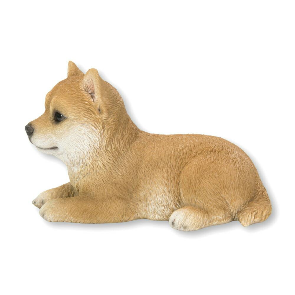 リラックスしている犬 リラックスしている犬