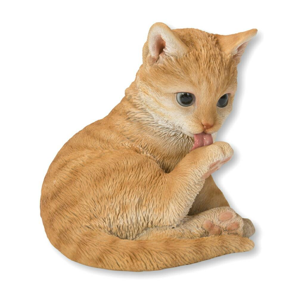 5000000086729_07.jpg
