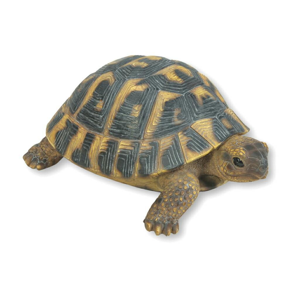 Woobia ウービア 【ヘルマンリクガメ】 (幅17cm×奥行11.7cm×高さ