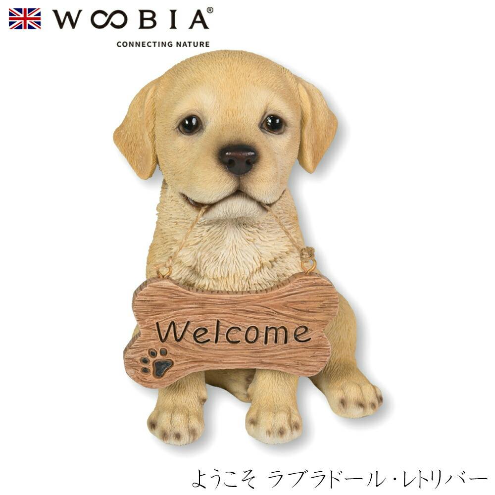 (幅13.5cm×奥行11.5cm×高さ16cm)犬 いぬ イヌ ドッグ dog かわいい 置物 リアル 動物 おしゃれ インテリア ガーデニング イギリス ガーデン置物人形 (幅13.5cm×奥行11.5cm×高さ16cm)犬 いぬ イヌ ドッグ dog かわいい 置物 リアル 動物 おしゃれ インテリア ガーデニング イギリス ガーデン置物人形