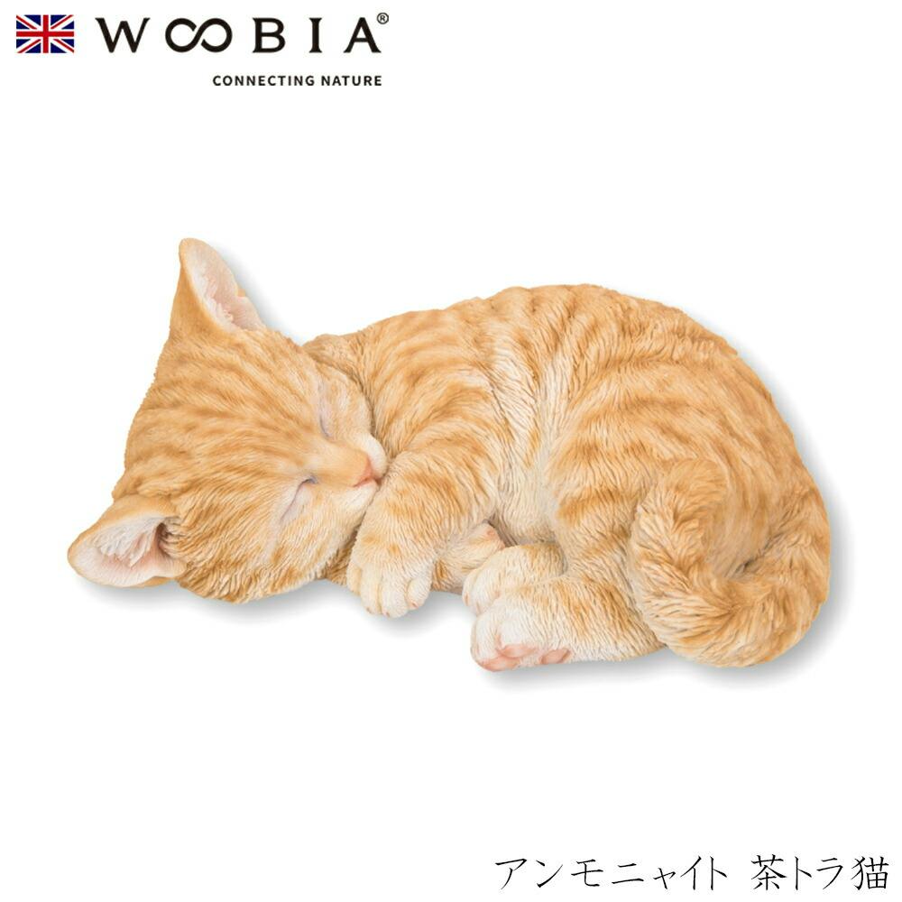 (幅20cm×奥行14cm×高さ9.3cm)猫 ねこ ネコ cat かわいい 置物 リアル 動物 おしゃれ インテリア ガーデニング イギリス 人形 オーナメ ガーデン置物人形 (幅20cm×奥行14cm×高さ9.3cm)猫 ねこ ネコ cat かわいい 置物 リアル 動物 おしゃれ インテリア ガーデニング イギリス 人形 オーナメ ガーデン置物人形