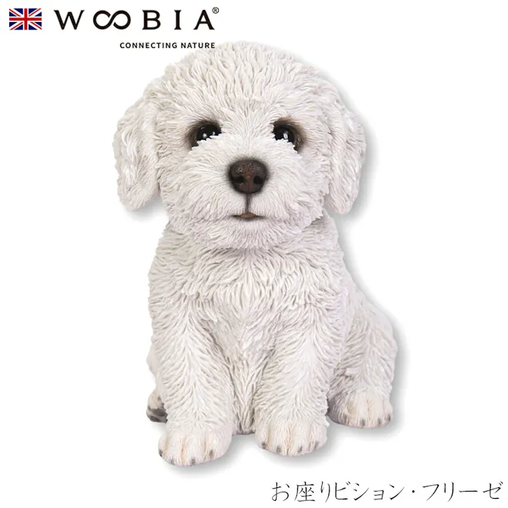 【Woobia(ウービア)】【お座りビション・フリーゼ】 (幅18.5cm×奥行13cm×高さ18.3cm)犬 いぬ イヌ ドッグ dog かわいい 置物 リアル 動物 おしゃれ インテリア ガーデニング イギリス 人形 オーナメント ペット #4582756137019