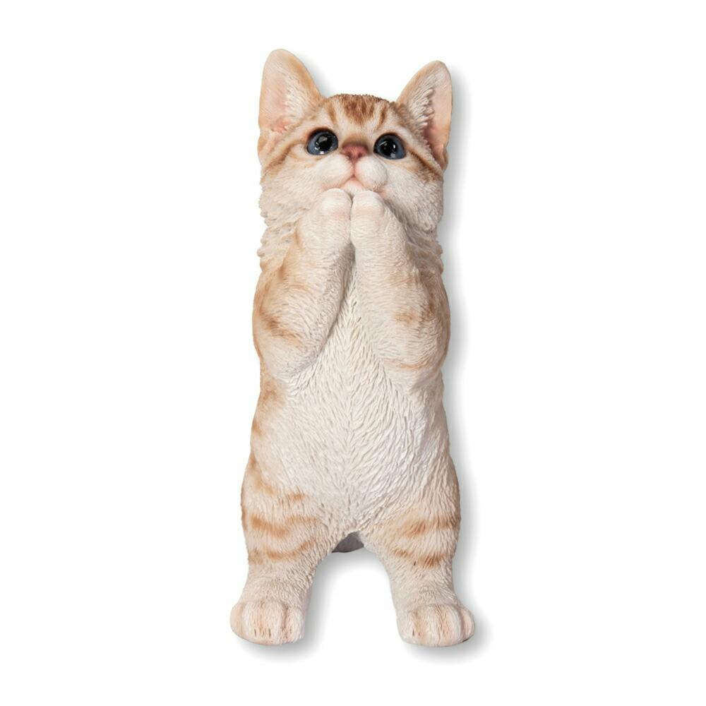 猫茶 (※)メルカリ便 m82712603202_1.jpg?1722996419