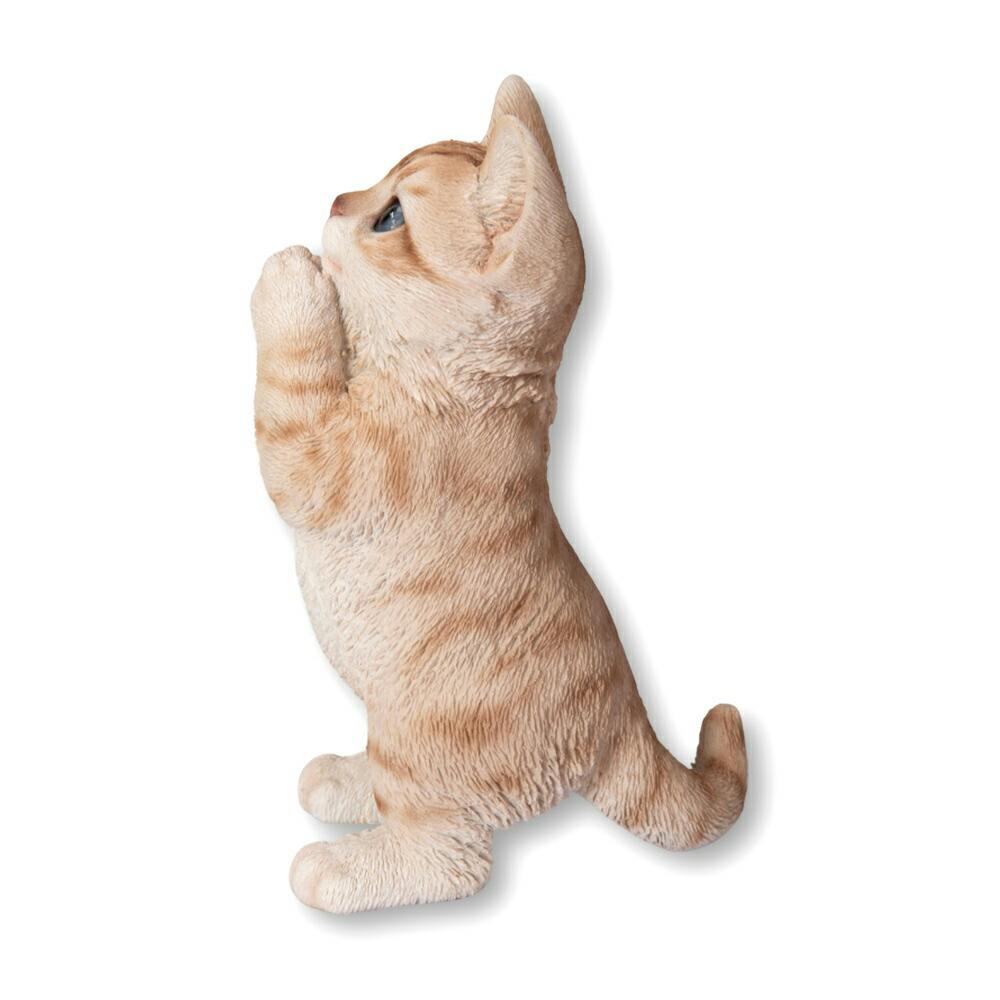 ドラ猫　おまとめ ドラ猫　おまとめ