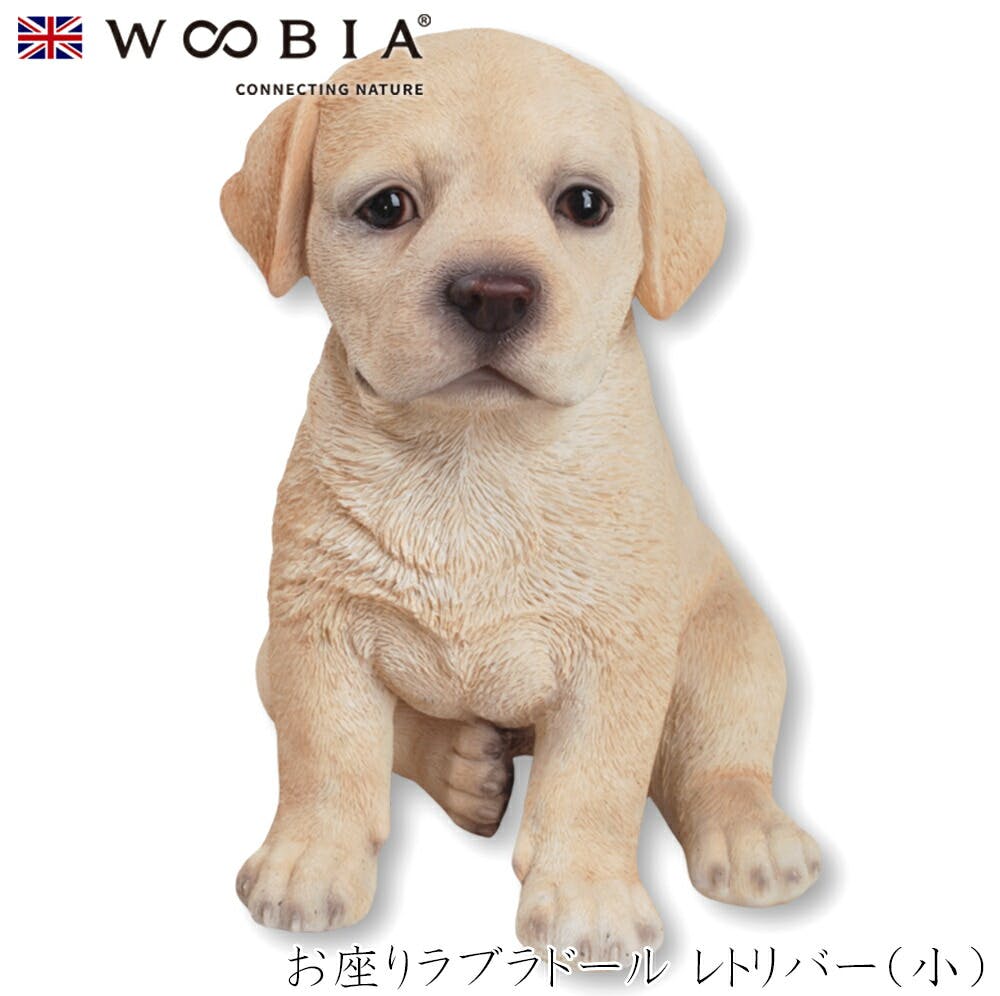 (幅14.3cm×奥行12cm×高さ16.5cm)犬 いぬ イヌ ドッグ dog かわいい 置物 リアル 動物 おしゃれ インテリア ガーデニング 人形 オー ガーデン置物人形 (幅14.3cm×奥行12cm×高さ16.5cm)犬 いぬ イヌ ドッグ dog かわいい 置物 リアル 動物 おしゃれ インテリア ガーデニング 人形 オー ガーデン置物人形