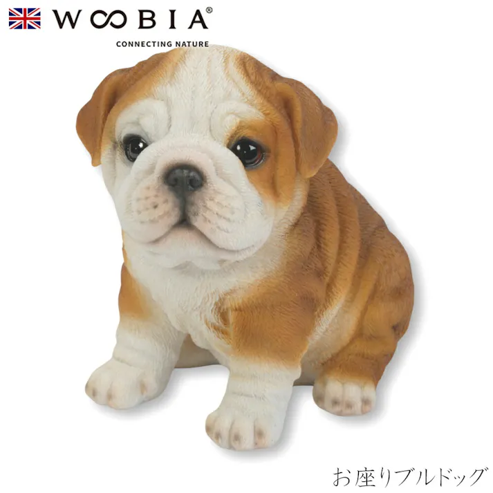 【Woobia(ウービア)】【お座りブルドッグ】 (幅16cm×奥行11.2cm×高さ14.5cm)犬 いぬ イヌ ドッグ dog かわいい 置物 リアル 動物 おしゃれ インテリア ガーデニング イギリス 人形 オーナメント ペット #4582756135381
