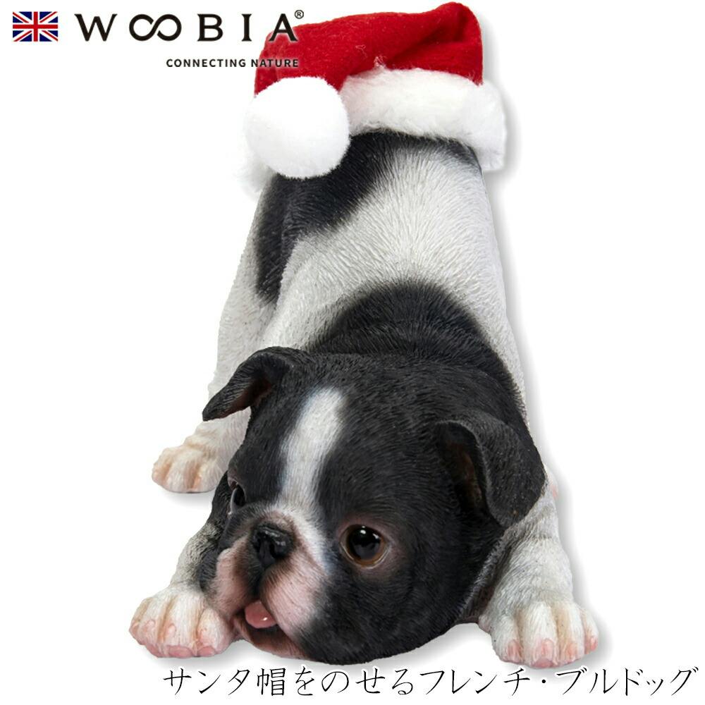 (幅13.5cm×奥行9.5cm×高さ10cm)犬 いぬ イヌ ドッグ dog かわいい 置物 リアル 動物 インテリア ガーデニング イギリス 人形 オーナ ガーデン置物人形 (幅13.5cm×奥行9.5cm×高さ10cm)犬 いぬ イヌ ドッグ dog かわいい 置物 リアル 動物 インテリア ガーデニング イギリス 人形 オーナ ガーデン置物人形