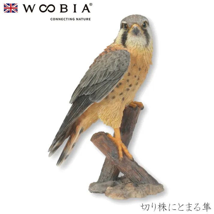 【Woobia(ウービア)】【切り株にとまる隼】 (幅20.5cm×奥行12.3cm×高さ31cm)かわいい 置物 リアル 動物 おしゃれ インテリア ガーデニング イギリス 人形 オーナメント ペット #4582756136562/H14033
