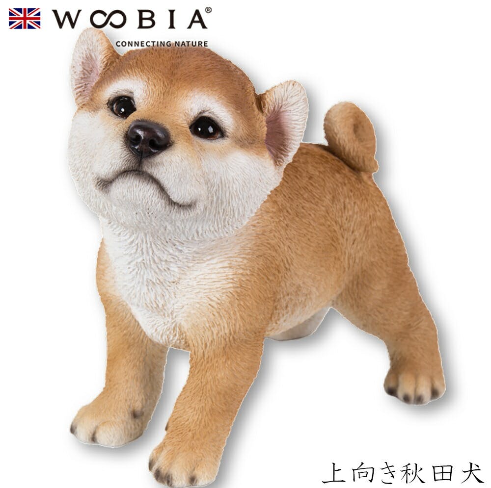 (幅19cm×奥行11cm×高さ17cm)犬 いぬ イヌ ドッグ dog かわいい 置物 リアル 動物 おしゃれ インテリア ガーデニング イギリス 人形 オ ガーデン置物人形 (幅19cm×奥行11cm×高さ17cm)犬 いぬ イヌ ドッグ dog かわいい 置物 リアル 動物 おしゃれ インテリア ガーデニング イギリス 人形 オ ガーデン置物人形
