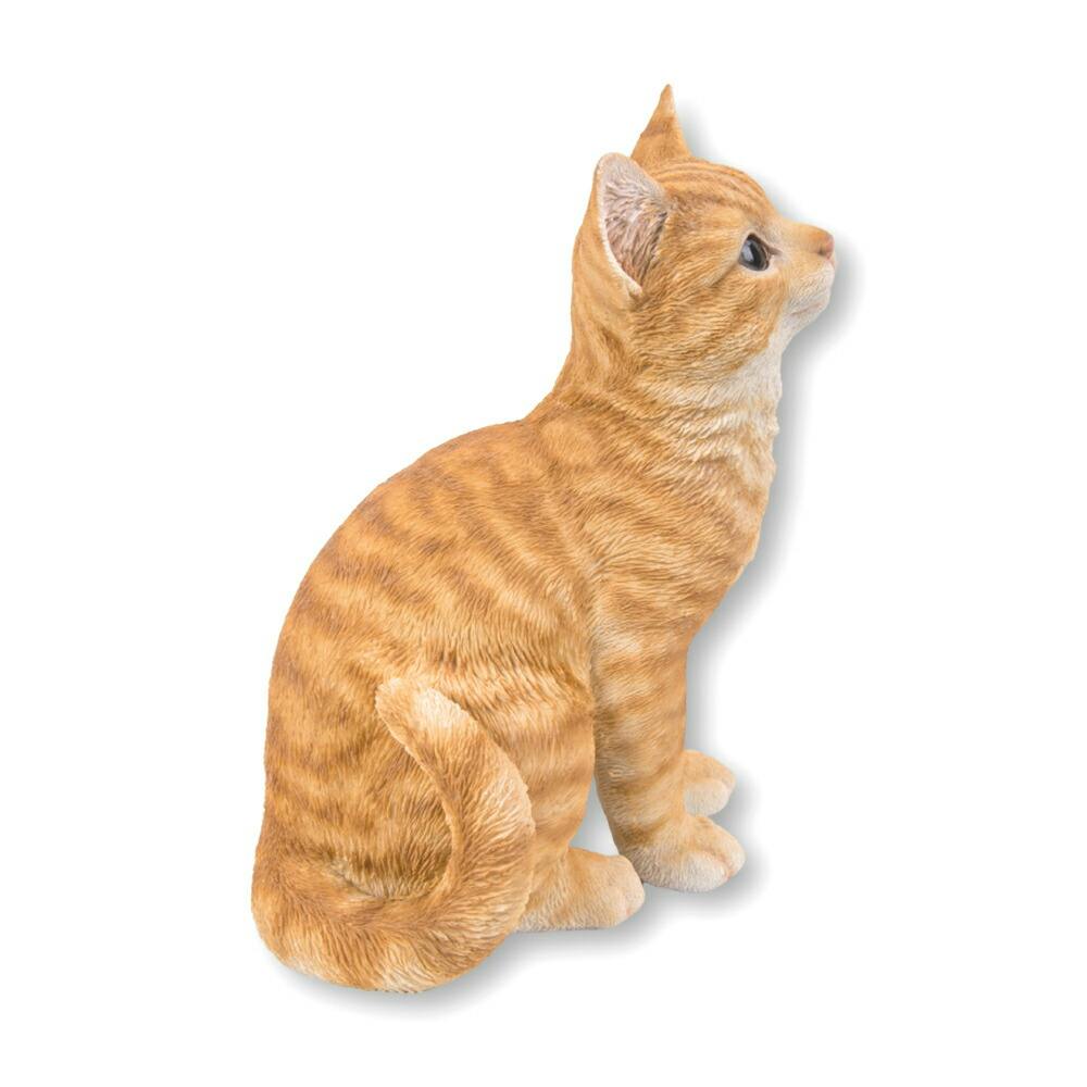 猫の虎 5000000086707_01.jpg