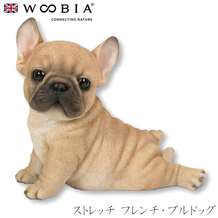 【Woobia(ウービア)】【ストレッチ フレンチ・ブルドッグ】 (幅16cm×奥行10cm×高さ14.7cm)犬 いぬ イヌ ドッグ dog かわいい 置物 リアル 動物 おしゃれ インテリア ガーデニング イギリス 人形 オーナメント ペット #4582756132168