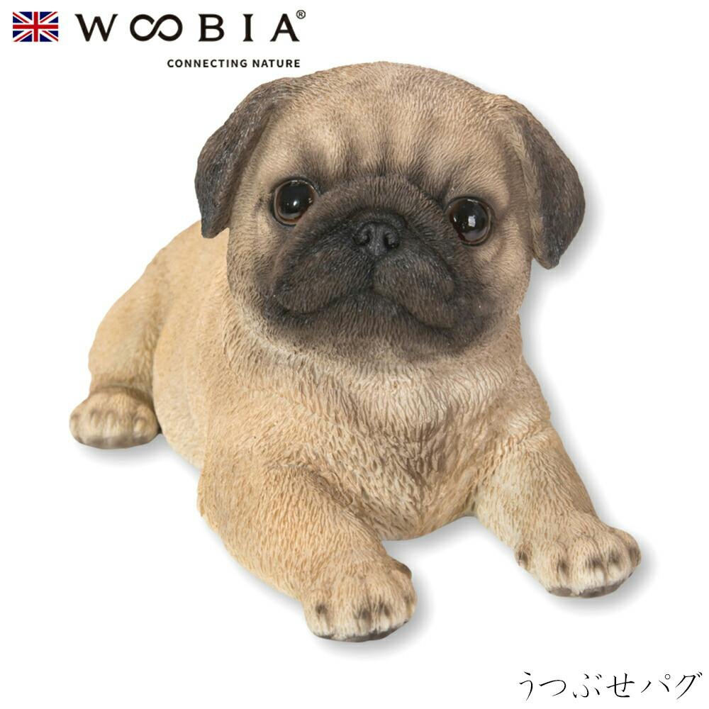 (幅20.5cm×奥行11.8cm×高さ11cm)犬 いぬ イヌ ドッグ dog かわいい 置物 リアル 動物 おしゃれ インテリア ガーデニング イギリス ガーデン置物人形 (幅20.5cm×奥行11.8cm×高さ11cm)犬 いぬ イヌ ドッグ dog かわいい 置物 リアル 動物 おしゃれ インテリア ガーデニング イギリス ガーデン置物人形