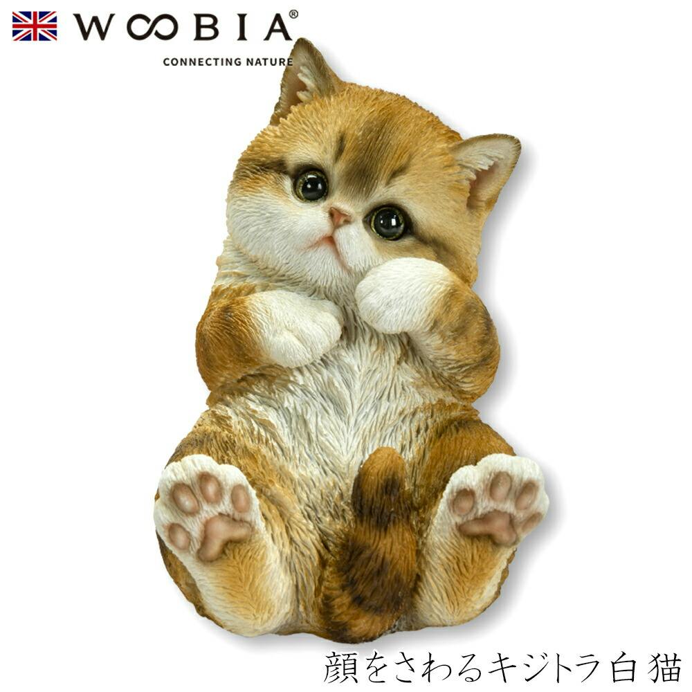 Woobia ウービア (幅12cm×奥行11cm×高さ16cm)猫 ねこ ネコ cat かわいい 置物 リアル 動物 おしゃれ インテリア ガーデニング イ ガーデン置物人形 Woobia ウービア (幅12cm×奥行11cm×高さ16cm)猫 ねこ ネコ cat かわいい 置物 リアル 動物 おしゃれ インテリア ガーデニング イ ガーデン置物人形