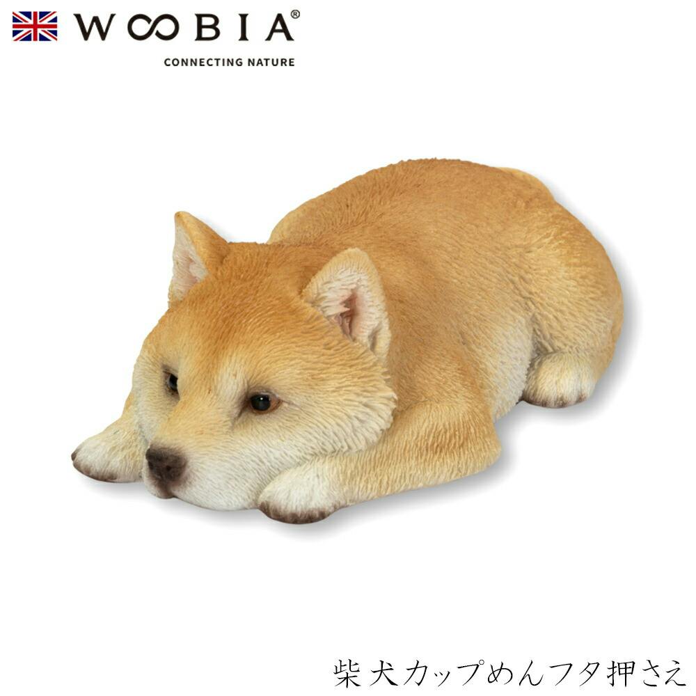 (幅11cm×奥行6cm×高さ3.5cm)犬 いぬ イヌ ドッグ dog かわいい 置物 リアル 動物 おしゃれ インテリア ガーデニング イギリス 人形 オ ガーデン置物人形 (幅11cm×奥行6cm×高さ3.5cm)犬 いぬ イヌ ドッグ dog かわいい 置物 リアル 動物 おしゃれ インテリア ガーデニング イギリス 人形 オ ガーデン置物人形