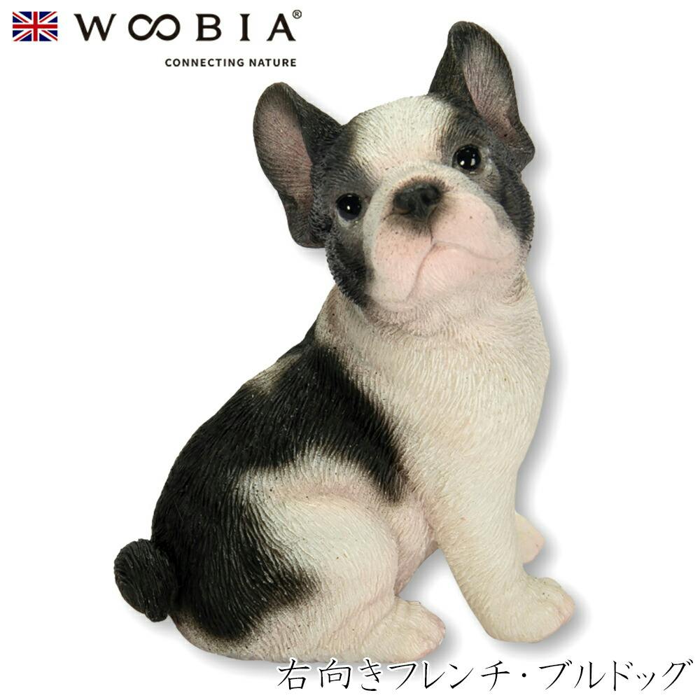 (幅4.5cm×奥行3.5cm×高さ5.8cm)犬 いぬ イヌ ドッグ dog かわいい 置物 リアル 動物 おしゃれ インテリア ガーデニング イギリス 人 ガーデン置物人形 (幅4.5cm×奥行3.5cm×高さ5.8cm)犬 いぬ イヌ ドッグ dog かわいい 置物 リアル 動物 おしゃれ インテリア ガーデニング イギリス 人 ガーデン置物人形