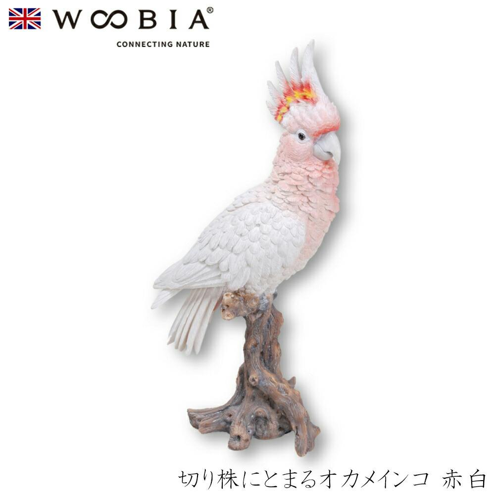 Woobia ウービア (幅15.5cm×奥行15cm×高さ38.5cm)かわいい 置物 リアル 動物 おしゃれ インテリア ガーデニング イギリス 人形 オ ガーデン置物人形 Woobia ウービア (幅15.5cm×奥行15cm×高さ38.5cm)かわいい 置物 リアル 動物 おしゃれ インテリア ガーデニング イギリス 人形 オ ガーデン置物人形