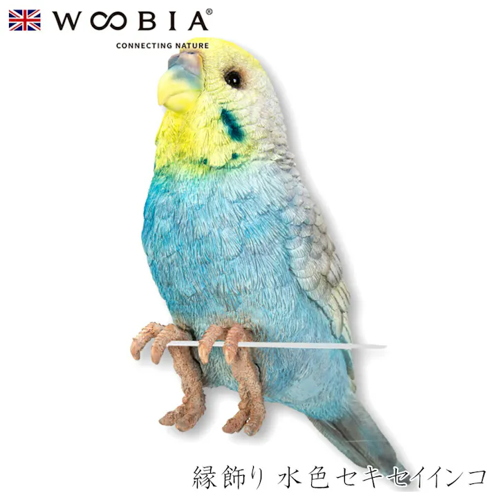 【Woobia(ウービア)】【縁飾り 水色セキセイインコ】 (幅18.5cm×奥行6cm×高さ12cm)かわいい 置物 リアル 動物 おしゃれ インテリア ガーデニング イギリス 人形 オーナメント ペット #4582756130140/H23043-1