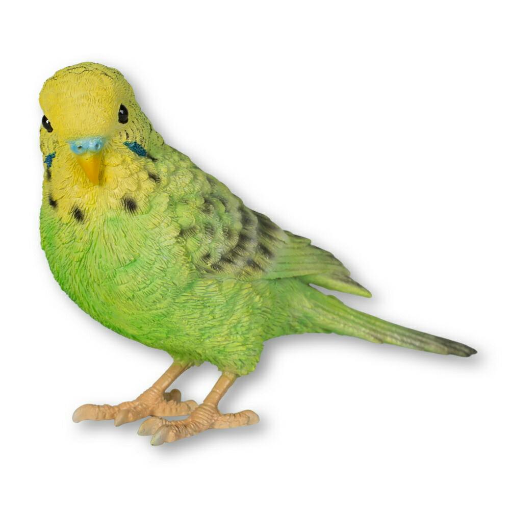 Woobia ウービア 【緑セキセイインコ】 (幅12cm×奥行3.5cm×高さ