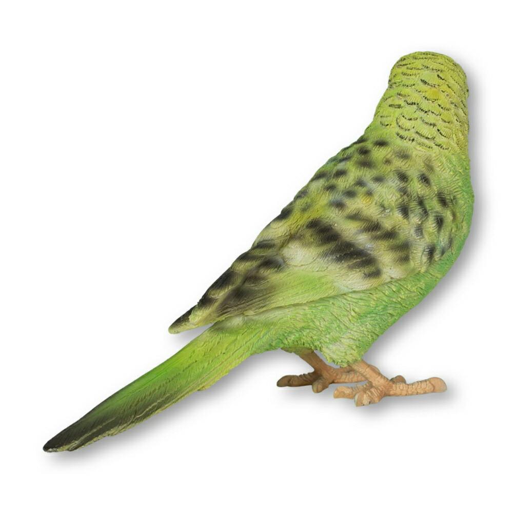 マダムインコ Amazon | A-ITEM インコ用マラカス 8個セット インコ マラカス