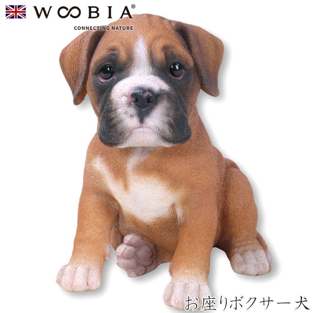(幅15.6cm×奥行11.5cm×高さ15.9cm)犬 いぬ イヌ ドッグ dog かわいい 置物 リアル 動物 おしゃれ インテリア ガーデニング イギリ ガーデン置物人形 (幅15.6cm×奥行11.5cm×高さ15.9cm)犬 いぬ イヌ ドッグ dog かわいい 置物 リアル 動物 おしゃれ インテリア ガーデニング イギリ ガーデン置物人形