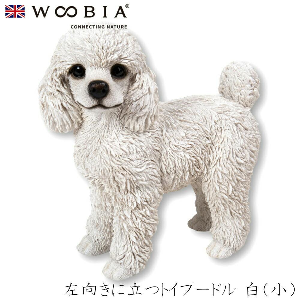 (幅16.7cm×奥行8cm×高さ17cm)犬 いぬ イヌ ドッグ dog かわいい 置物 リアル 動物 おしゃれ インテリア ガーデニング イギリス 人形 ガーデン置物人形 (幅16.7cm×奥行8cm×高さ17cm)犬 いぬ イヌ ドッグ dog かわいい 置物 リアル 動物 おしゃれ インテリア ガーデニング イギリス 人形 ガーデン置物人形