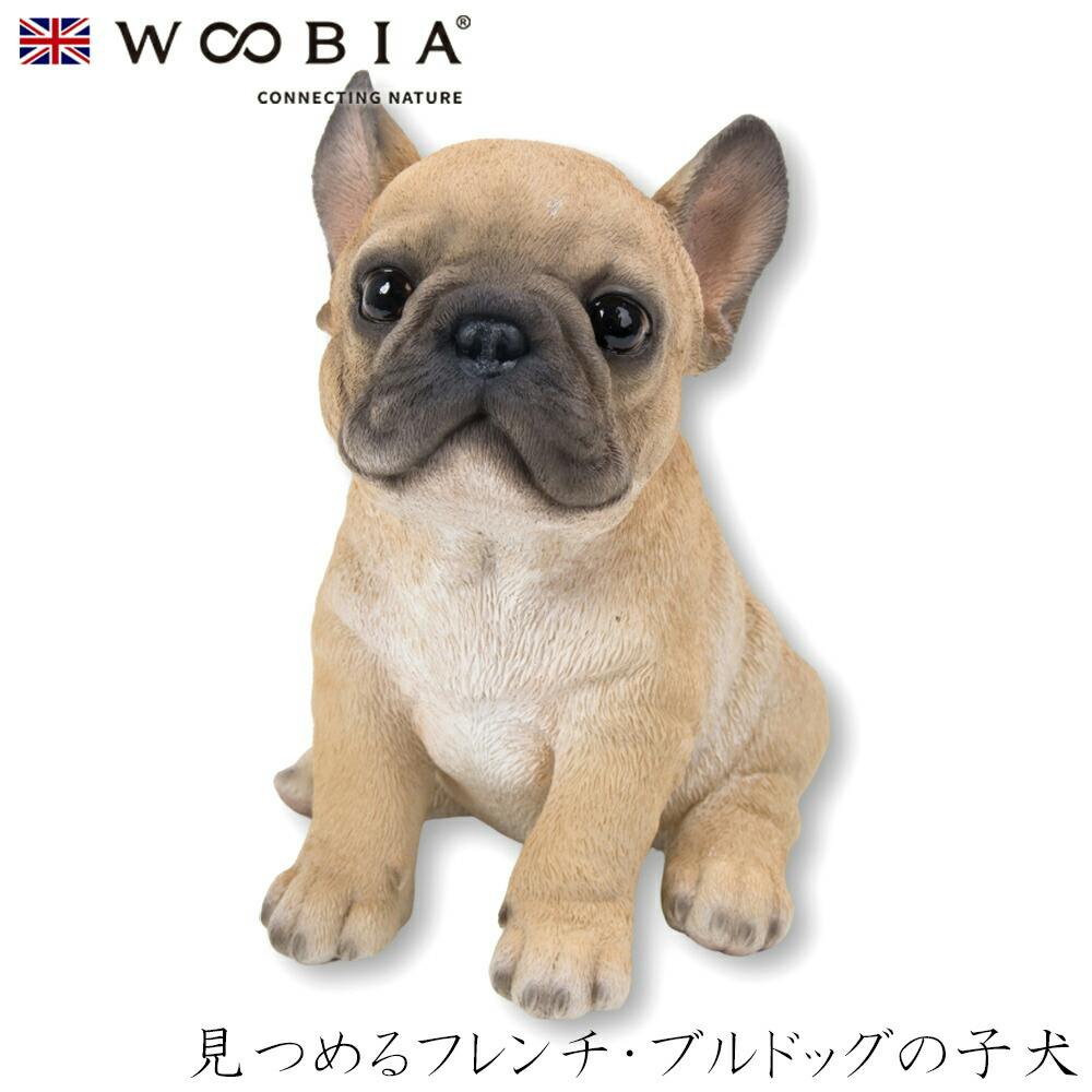 (幅14cm×奥行10.8cm×高さ15.3cm)犬 いぬ イヌ ドッグ dog かわいい 置物 リアル 動物 インテリア ガーデニング イギリス 人形 オー ガーデン置物人形 (幅14cm×奥行10.8cm×高さ15.3cm)犬 いぬ イヌ ドッグ dog かわいい 置物 リアル 動物 インテリア ガーデニング イギリス 人形 オー ガーデン置物人形
