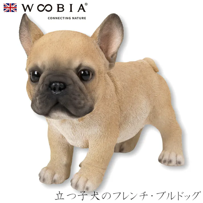 【Woobia(ウービア)】【立つ子犬のフレンチ・ブルドッグ】 (幅17.8cm×奥行8.5cm×高さ14.7cm)犬 いぬ イヌ ドッグ dog かわいい 置物 リアル 動物 おしゃれ インテリア ガーデニング イギリス 人形 オーナメント ペット #4582756142204