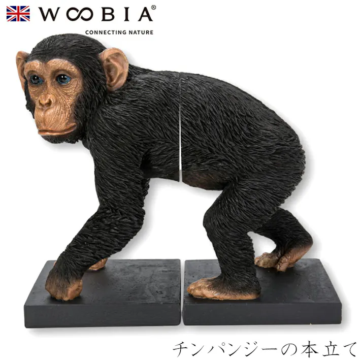 【Woobia(ウービア)】【チンパンジーの本立て】 (幅26cm×奥行14.5cm×高さ23cm)かわいい 置物 リアル 動物 おしゃれ インテリア ガーデニング イギリス 人形 オーナメント ペット #4582756140316