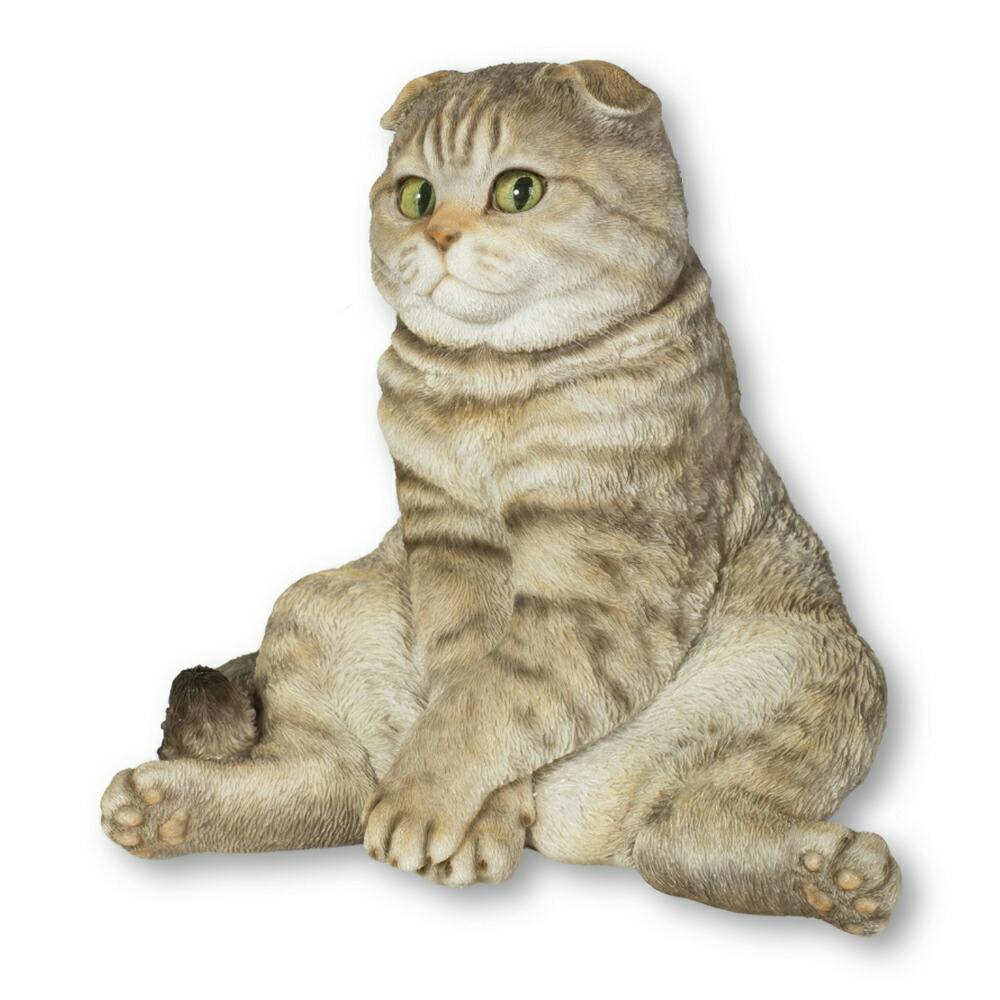 スコ座り猫。 DVD Woobia ウービア 【スコ座り スコティッシュフォールドたれ耳