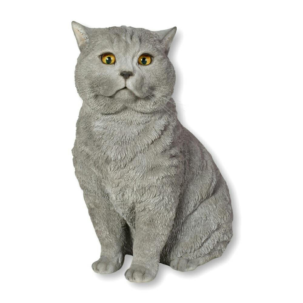 5000000086979_07.jpg