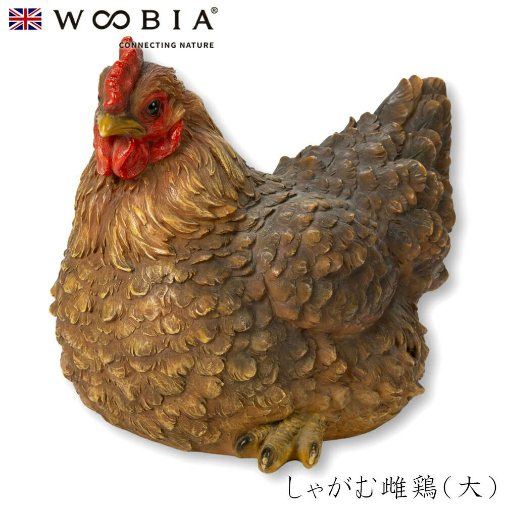 Woobia ウービア (幅25.5cm×奥行17cm×高さ19.5cm)かわいい 置物 リアル 動物 おしゃれ インテリア ガーデニング イギリス 人形 オ ガーデン置物人形 Woobia ウービア (幅25.5cm×奥行17cm×高さ19.5cm)かわいい 置物 リアル 動物 おしゃれ インテリア ガーデニング イギリス 人形 オ ガーデン置物人形