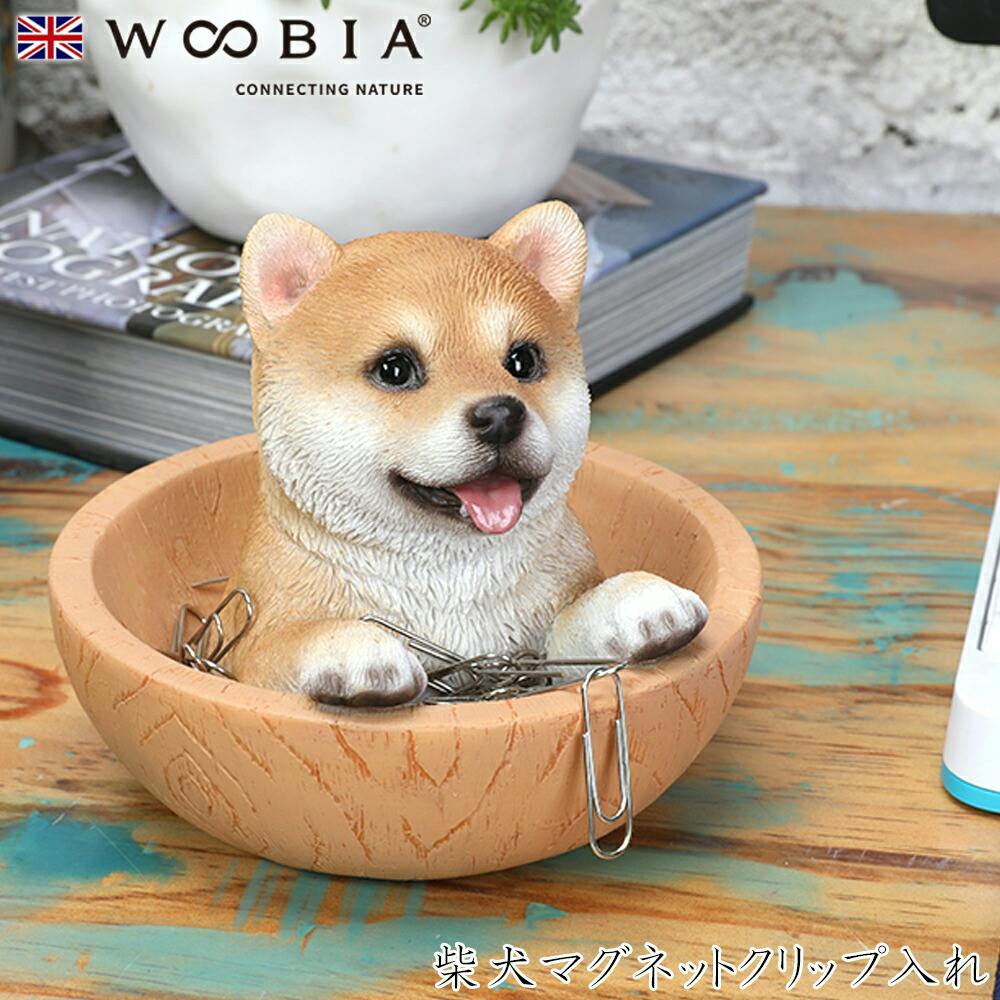 (幅11.5cm×奥行11.5cm×高さ10cm)犬 いぬ イヌ ドッグ dog かわいい 置物 動物 インテリア ガーデニング イギリス 人形 オーナメント マグネット (幅11.5cm×奥行11.5cm×高さ10cm)犬 いぬ イヌ ドッグ dog かわいい 置物 動物 インテリア ガーデニング イギリス 人形 オーナメント マグネット