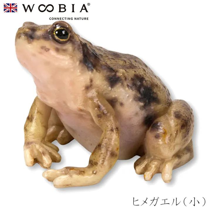 【Woobia(ウービア)】【ヒメガエル(小)】 (幅5cm×奥行5cm×高さ4cm)かわいい 置物 リアル 動物 おしゃれ インテリア ガーデニング イギリス 人形 オーナメント ペット #4582756142037