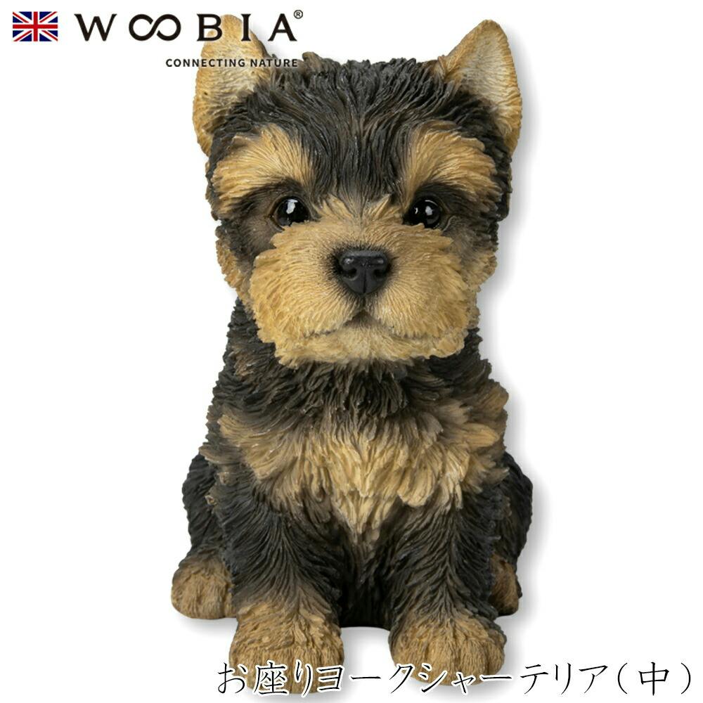 (幅15.2cm×奥行10.3cm×高さ16.3cm)犬 いぬ イヌ ドッグ dog かわいい 置物 リアル 動物 おしゃれ インテリア ガーデニング イギリ ガーデン置物人形 (幅15.2cm×奥行10.3cm×高さ16.3cm)犬 いぬ イヌ ドッグ dog かわいい 置物 リアル 動物 おしゃれ インテリア ガーデニング イギリ ガーデン置物人形