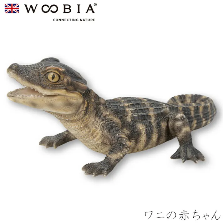 【Woobia(ウービア)】【ワニの赤ちゃん】 (幅25.5cm×奥行12.6cm×高さ8.5cm)かわいい 置物 リアル 動物 おしゃれ インテリア ガーデニング イギリス 人形 オーナメント ペット #4582756146929/H14049