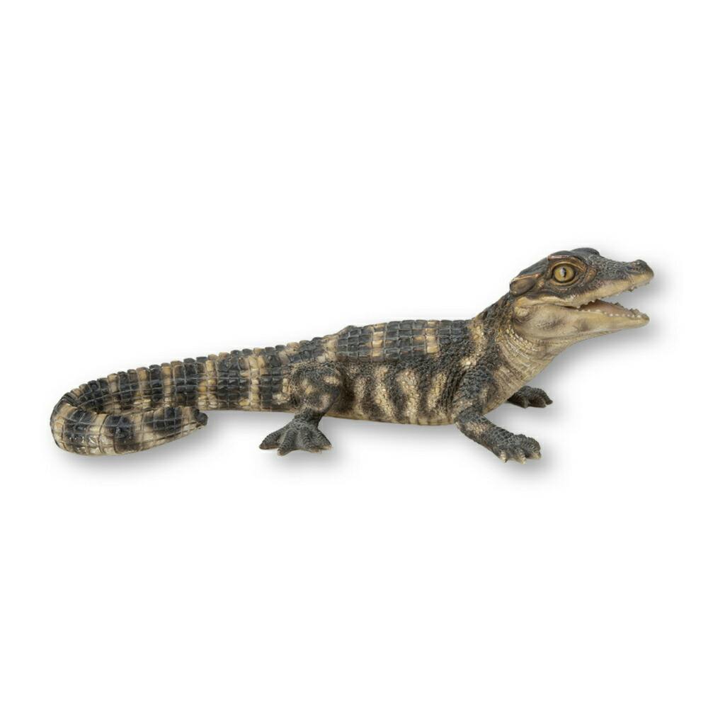 Woobia ウービア 【ワニの赤ちゃん】 (幅25.5cm×奥行12.6cm×高さ