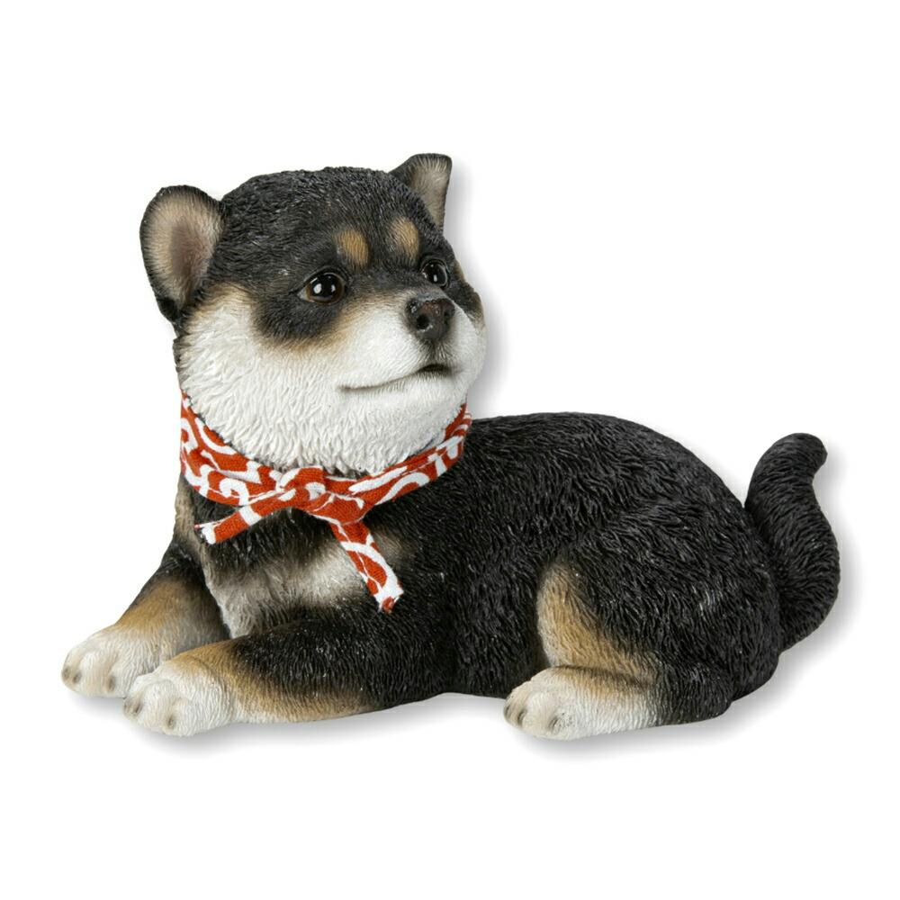 黒柴 Woobia ウービア 【横座り豆黒柴犬】 (幅15.5cm×奥行8.5cm×高さ