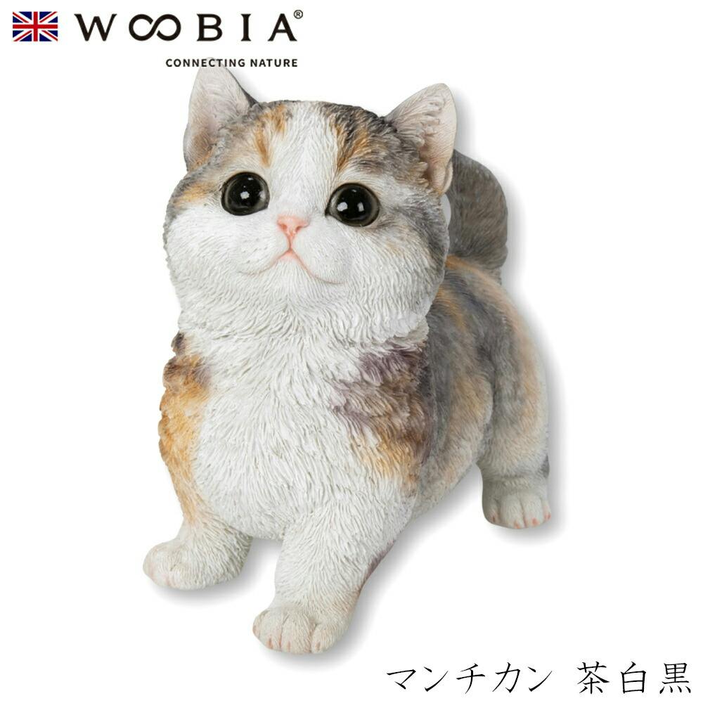 (幅16cm×奥行8.5cm×高さ15cm)猫 ねこ ネコ cat かわいい 置物 リアル 動物 おしゃれ インテリア ガーデニング イギリス 人形 オーナメ ガーデン置物人形 (幅16cm×奥行8.5cm×高さ15cm)猫 ねこ ネコ cat かわいい 置物 リアル 動物 おしゃれ インテリア ガーデニング イギリス 人形 オーナメ ガーデン置物人形