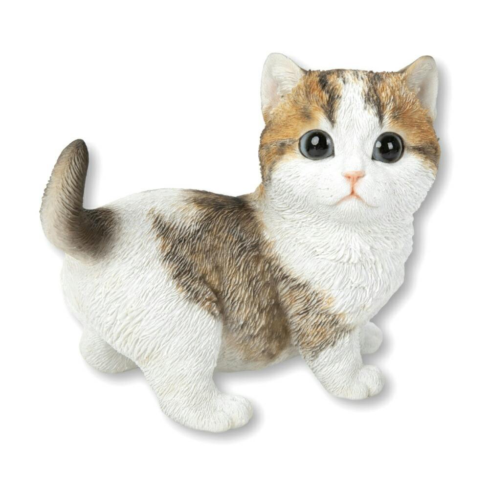 猫ちぃ♪ ペティオ ネコちゃんの乳酸菌のちから 3ヶ月からのフェカリス菌