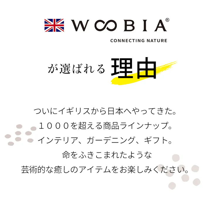 皿 【鳥の餌皿】 (幅18.5cm×奥行18.5cm×高さ6.5cm)かわいい 置物 リアル 動物 おしゃれ インテリア ガーデニング イギリス 人形 オーナメント ペット #4582756136357/H19097-1
