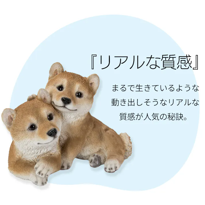 皿 【鳥の餌皿】 (幅18.5cm×奥行18.5cm×高さ6.5cm)かわいい 置物 リアル 動物 おしゃれ インテリア ガーデニング イギリス 人形 オーナメント ペット #4582756136357/H19097-1