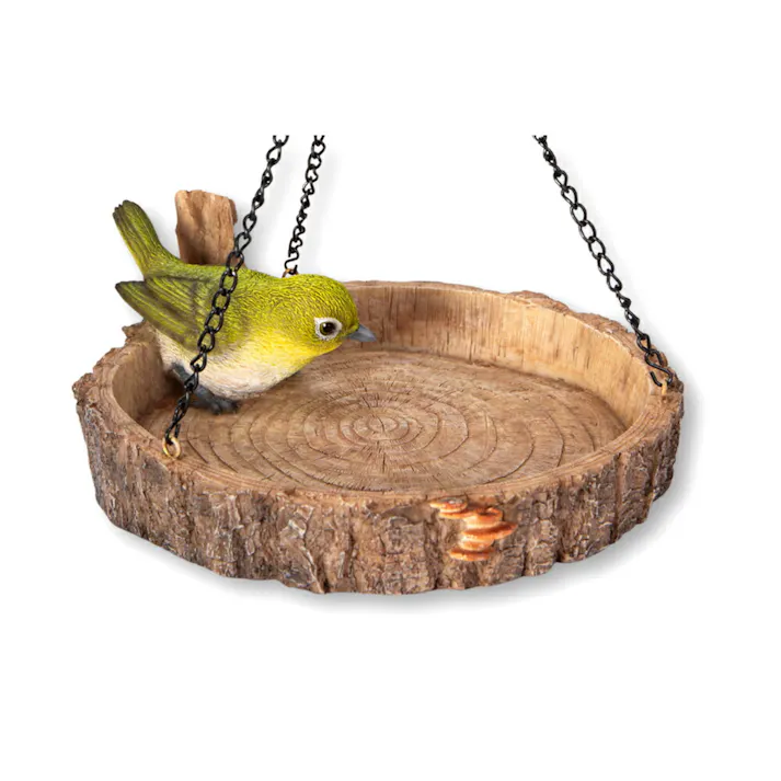 皿 【鳥の餌皿】 (幅18.5cm×奥行18.5cm×高さ6.5cm)かわいい 置物 リアル 動物 おしゃれ インテリア ガーデニング イギリス 人形 オーナメント ペット #4582756136357/H19097-1