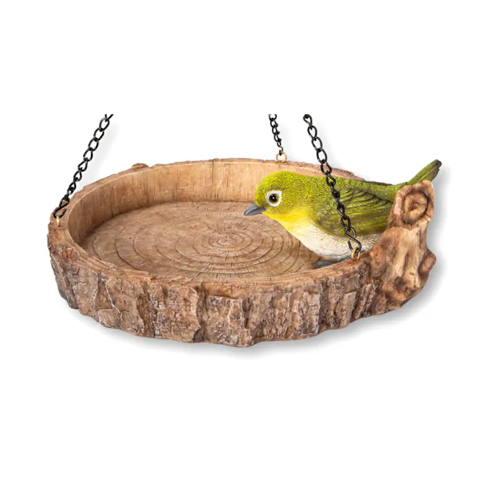 皿 【鳥の餌皿】 (幅18.5cm×奥行18.5cm×高さ6.5cm)かわいい 置物 リアル 動物 おしゃれ インテリア ガーデニング イギリス 人形 オーナメント ペット #4582756136357/H19097-1