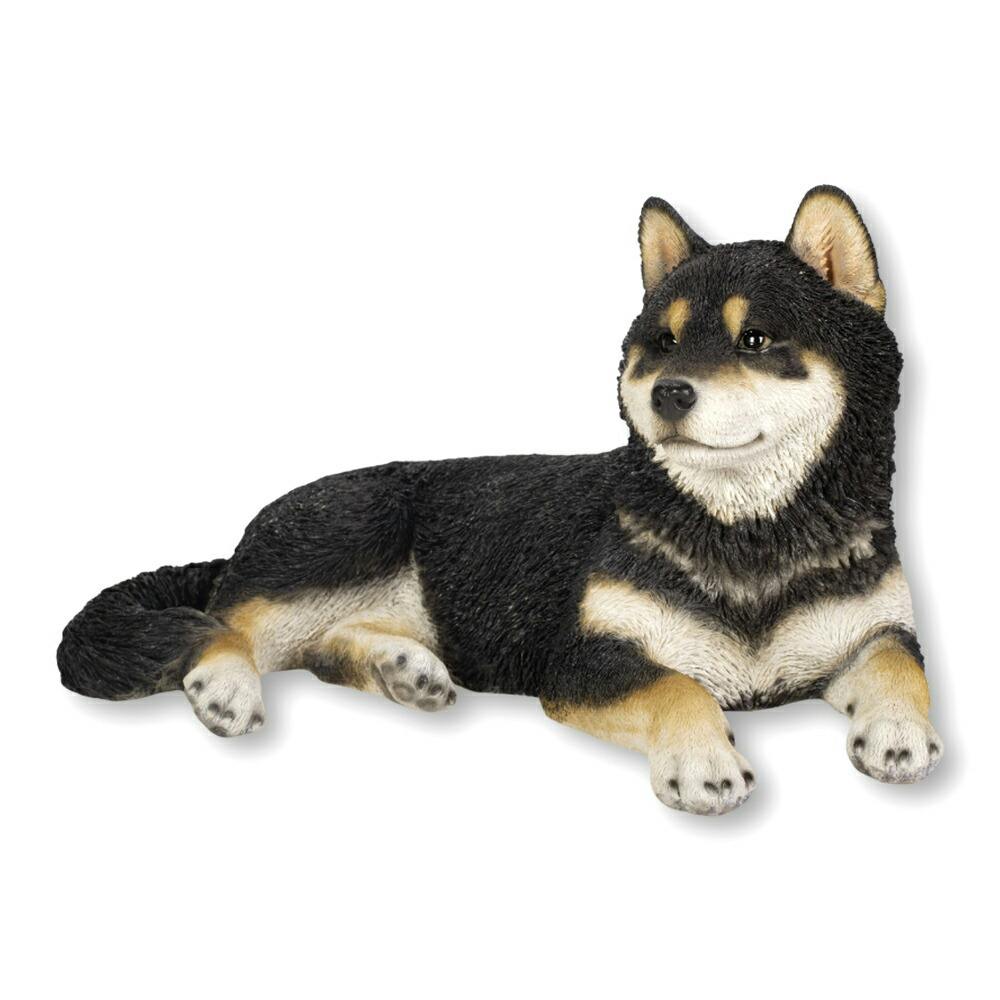 リラックスしている犬 Petselect by Nihonikuji 公式オンラインショップペットセレクト